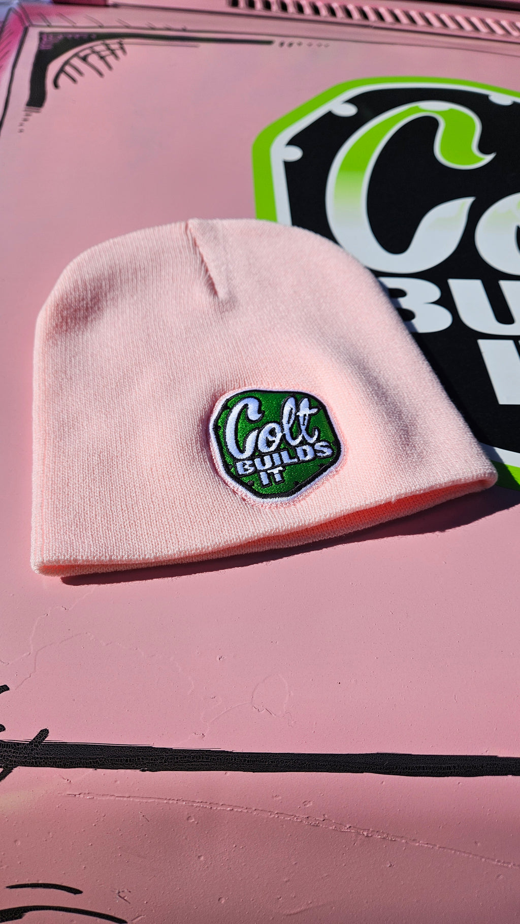 Shanna's Pink Beanie
